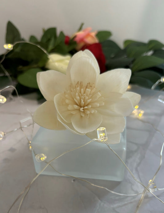 Sola Flower Diffuser