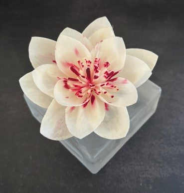 Sola Flower Diffuser